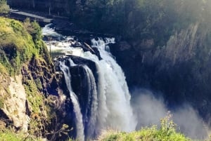 From Seattle: Snoqualmie Falls & Woodinville Wine Tasting