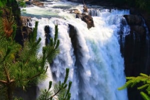 From Seattle: Snoqualmie Falls & Woodinville Wine Tasting