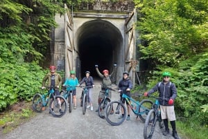 From Seattle: Snoqualmie Tunnel Scenic Bike Tour