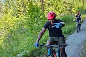 From Seattle: Snoqualmie Tunnel Scenic Bike Tour