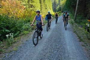 From Seattle: Snoqualmie Tunnel Scenic Bike Tour