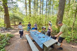 From Seattle: Snoqualmie Tunnel Scenic Bike Tour