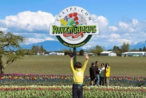 From Seattle: Tour of Skagit Valley Tulip Festival