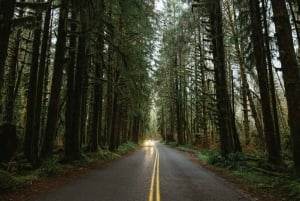 From Seattle: Twilight Forks Washington Tour