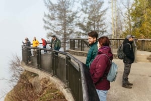 From Seattle: Visit Snoqualmie Falls and Hike to Twin Falls