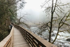 From Seattle: Visit Snoqualmie Falls and Hike to Twin Falls