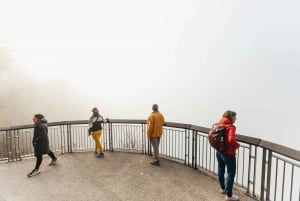 From Seattle: Visit Snoqualmie Falls and Hike to Twin Falls