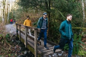 From Seattle: Visit Snoqualmie Falls and Hike to Twin Falls