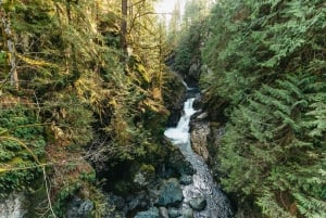 From Seattle: Visit Snoqualmie Falls and Hike to Twin Falls