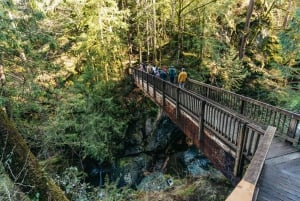 From Seattle: Visit Snoqualmie Falls and Hike to Twin Falls