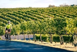 Fra Seattle – Vinsmaking, vingårder i østlige Washington