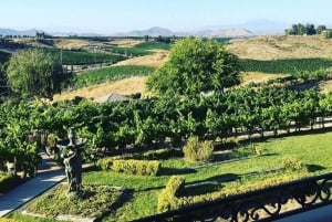 Fra Seattle – Vinsmaking, vingårder i østlige Washington