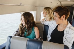 Naturskøn flyvning med vandfly: Vancouver, BC til Seattle, WA (enkelt)