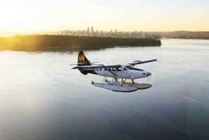 Naturskøn flyvning med vandfly: Vancouver, BC til Seattle, WA (enkelt)