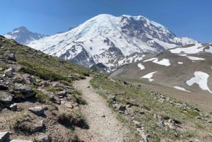 Mount Rainier: Day Hike on the Mountain