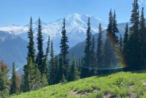 Mount Rainier: Day Hike on the Mountain