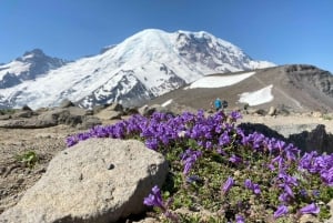 Mount Rainier: Day Hike on the Mountain