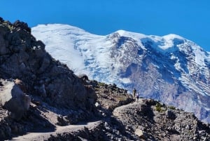 Mount Rainier: Day Hike on the Mountain