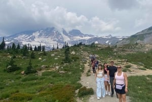 Mt. Rainier Private Group Tour