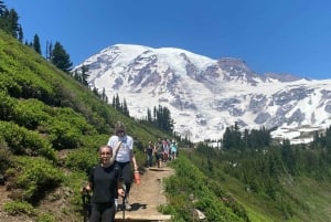 Mt. Rainier Private Group Tour