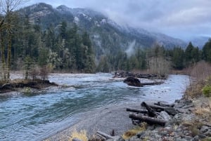 Olympic National Park: Half-Day Tour