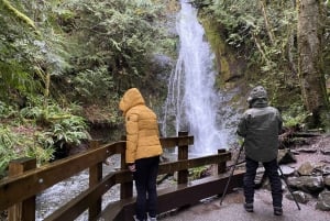 Olympic National Park: Half-Day Tour