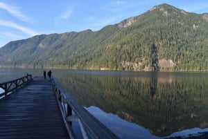 Olympic National Park: Half-Day Tour