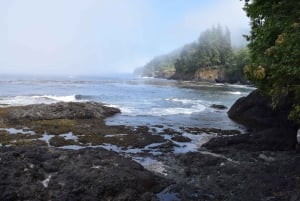 Olympic National Park: Half-Day Tour