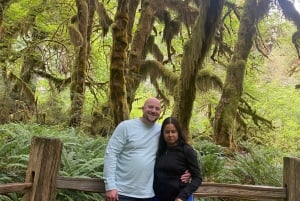 Olympic National Park Highlights: Rainforest, Beach, Lake