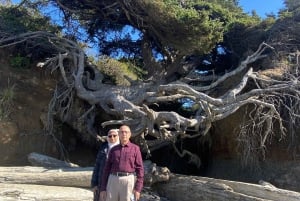 Olympic National Park Highlights: Rainforest, Beach, Lake