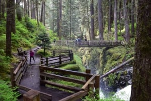 Olympic National Park: Sol Duc and Hurricane Ridge Tour