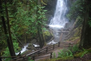 Olympic National Park: Sol Duc and Hurricane Ridge Tour