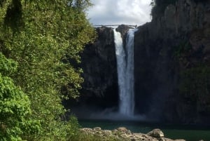 Private SUV Snoqualmie Falls Tour