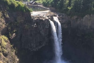 Private SUV Snoqualmie Falls Tour