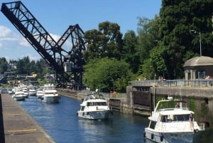 Seattle: 3-Hour City Highlights Tour