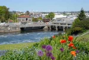 Seattle: 3-Hour City Tour by Bus