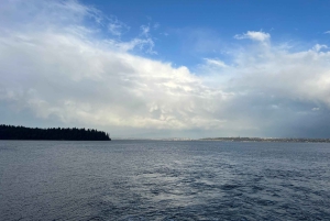 Seattle: Bainbridge Island E-Bike Tour