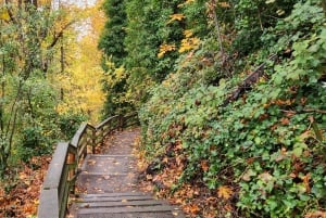 Seattle City Hiking Tour