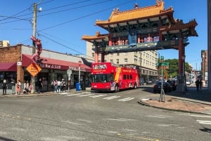 Seattle: City Sightseeing Hop-On Hop-Off Bus Tour