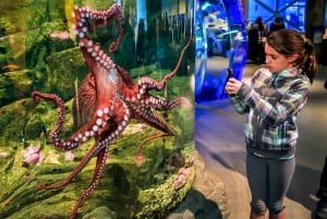 Seattle: CityPASS® with Tickets to 5 Top Attractions