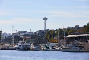 Seattle: Upplevelse med middagskryssning