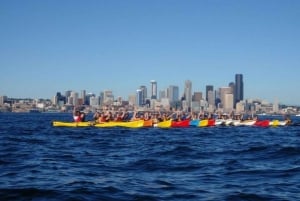 Seattle: Elliott Bay Sea Kayak Tour