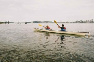 Seattle: Elliott Bay Sea Kayak Tour