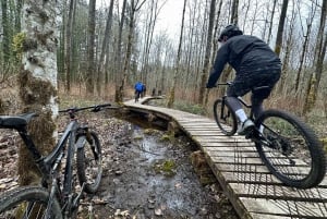 Seattle: Half Day All-Inclusive Mountain Bike Tour