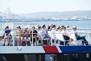 Seattle: Half-Day Wildlife and Whale Watching Cruise