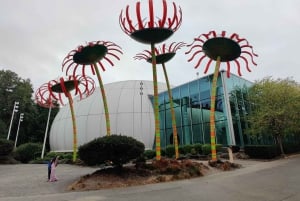 Seattle: Stadens längsta historiska och kulturella rundvandring