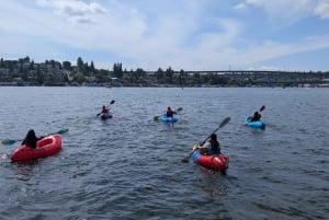 Seattle: Lake Union Kayak Tour – Small Groups, Big Views