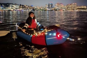 Seattle: Lake Union Kayak Tour – Small Groups, Big Views
