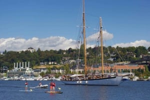Seattle: crociera sulle chiuse con guida locale