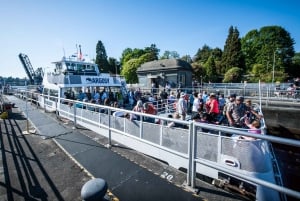 Seattle: crociera sulle chiuse con guida locale